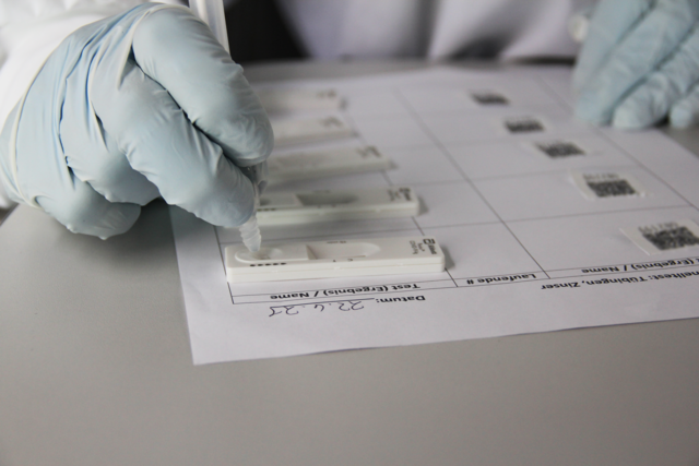 Nahaufnahme von Corona-Test, die gerade ausgewertet werden